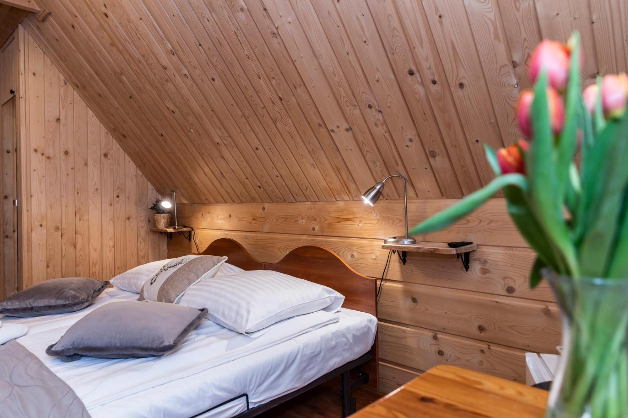 Willa U Jadzi Zakopane Buitenkant foto